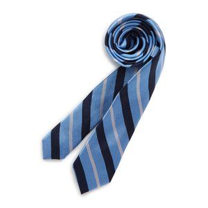 Nordstrom Boys Ismael Stripe Silk Tie Size Big Boy Blue 4NC9-3041